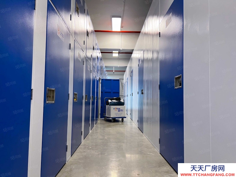 (出租) 深圳罗湖StorHub趣存自助仓1至100平方米个人储物空间存行李家