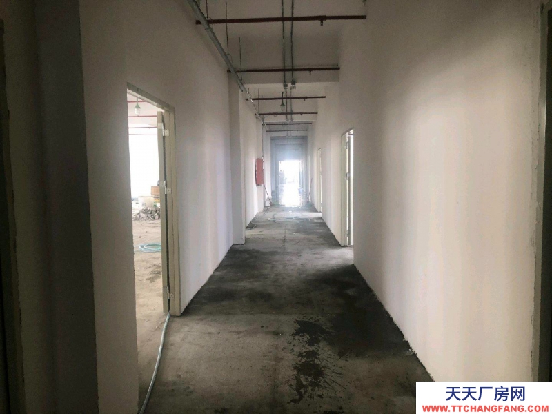 (出租) 深圳罗湖笋岗仓库出租，业主直租，看房随时