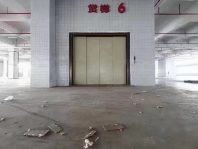 (出租) 深圳南山西丽独院钢混仓库8000平可自由分割适合仓储物流冷库办公图1