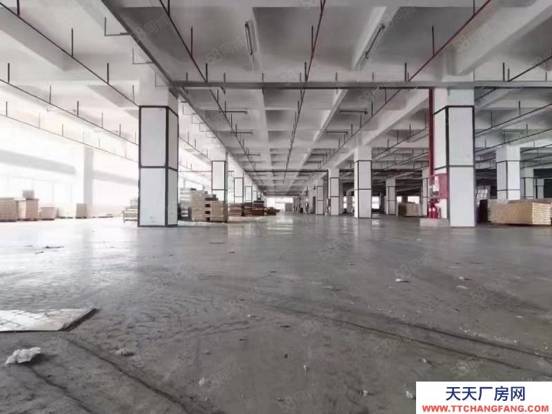 (出租) 深圳南山西丽独院钢混仓库8000平可自由分割适合仓储物流冷库办公