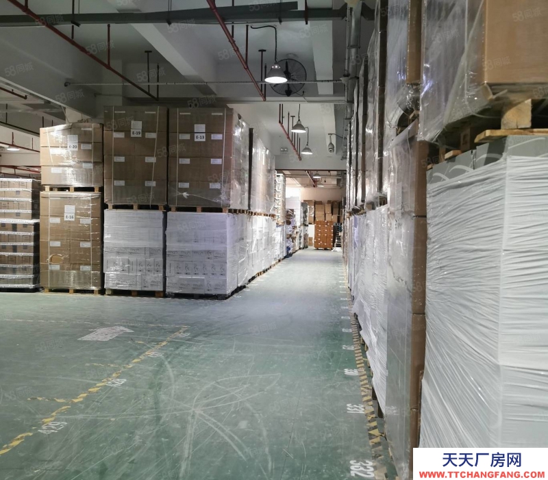 (出租)深圳 南山专业仓库，提供仓储储托管