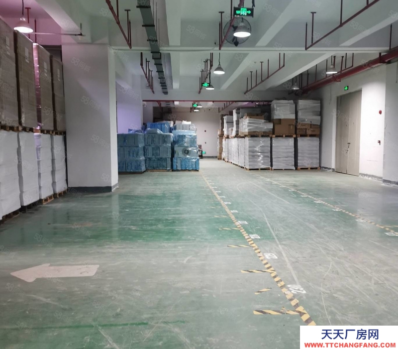 (出租)深圳 南山专业仓库，提供仓储储托管