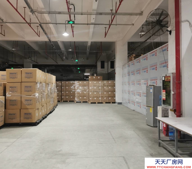 (出租)深圳 南山专业仓库，提供仓储储托管
