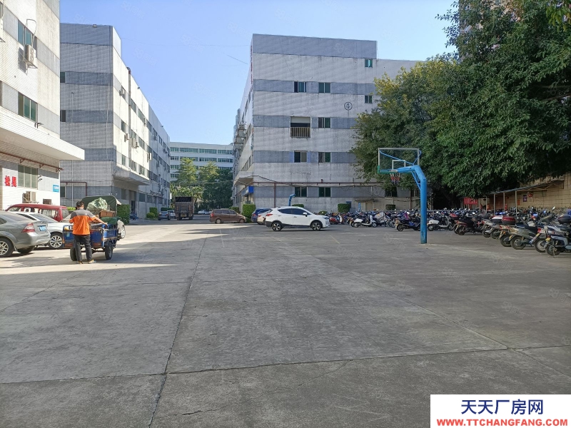 (出租) 深圳宝安福永机场附近小面积一楼精装修580平物流仓库出租厂房招租