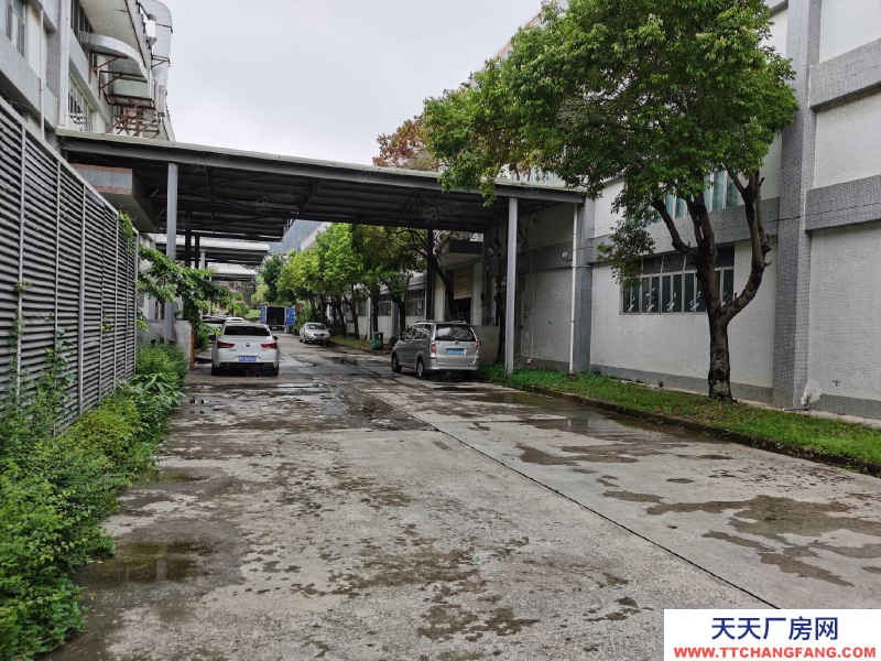(出租) 深圳宝安福永红本独院钢构3000平一楼厂房出租可分租低价物流仓库合租