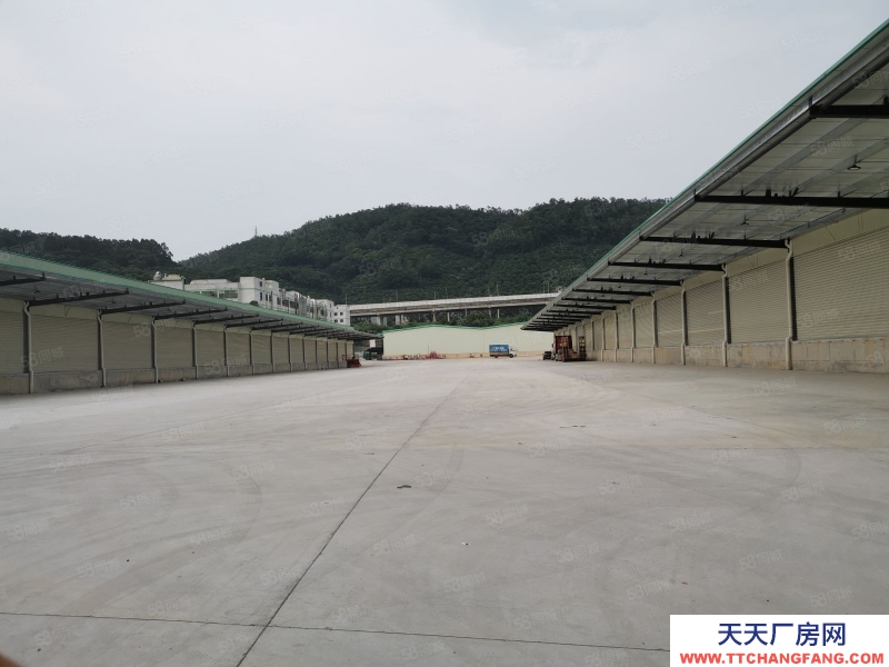 (出租) 深圳宝安福永机场附近新出物流厂房20000平米可分租