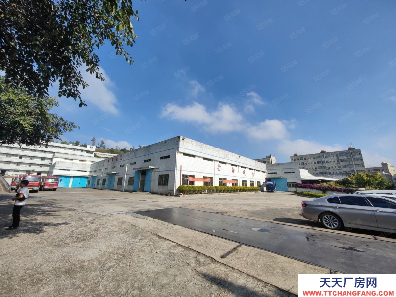 (出租) 深圳龙岗外环高速五联出口业主钢构1800平特价21元每平出租