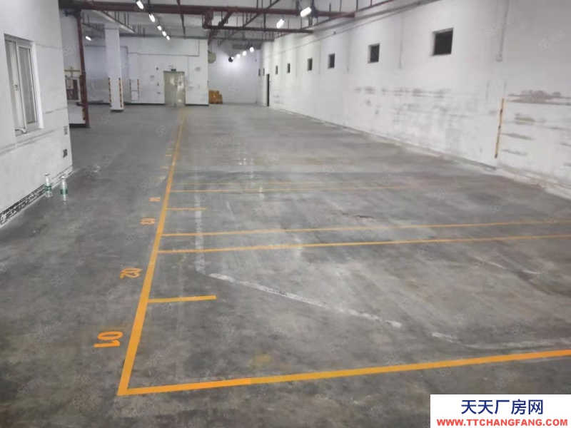 (出租) 深圳龙岗平湖1500平仓库分租，可代管操作项目，装卸配送一体