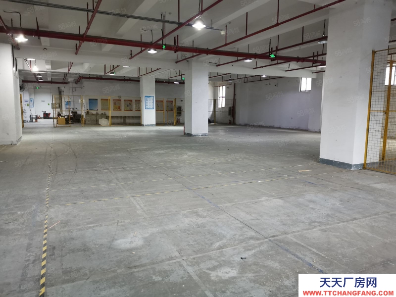 (出租) 深圳龙岗平湖1500平仓库分租，可代管操作项目，装卸配送一体