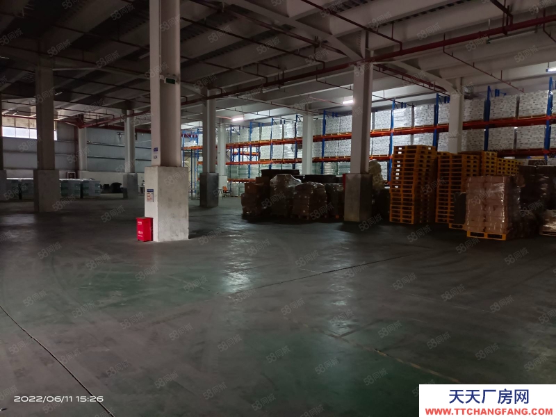 (出租) 深圳龙岗近盐田港钢结构高台库原业主可分割出租