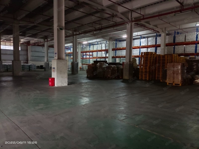 (出租) 深圳龙岗近盐田港钢结构高台库原业主可分割出租图1