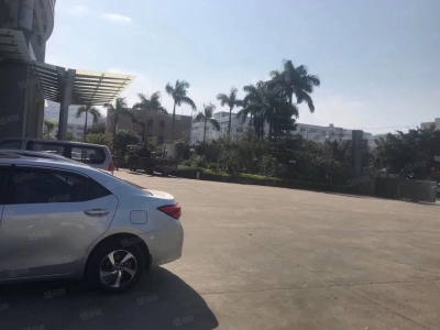 (出租) 深圳龙岗横岗高薪产业园一楼现成仓库招租图1
