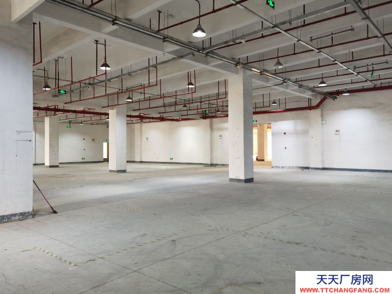 (出租) 深圳龙岗平湖乾龙1800平米仓库出租，可分租，作业设备齐全.