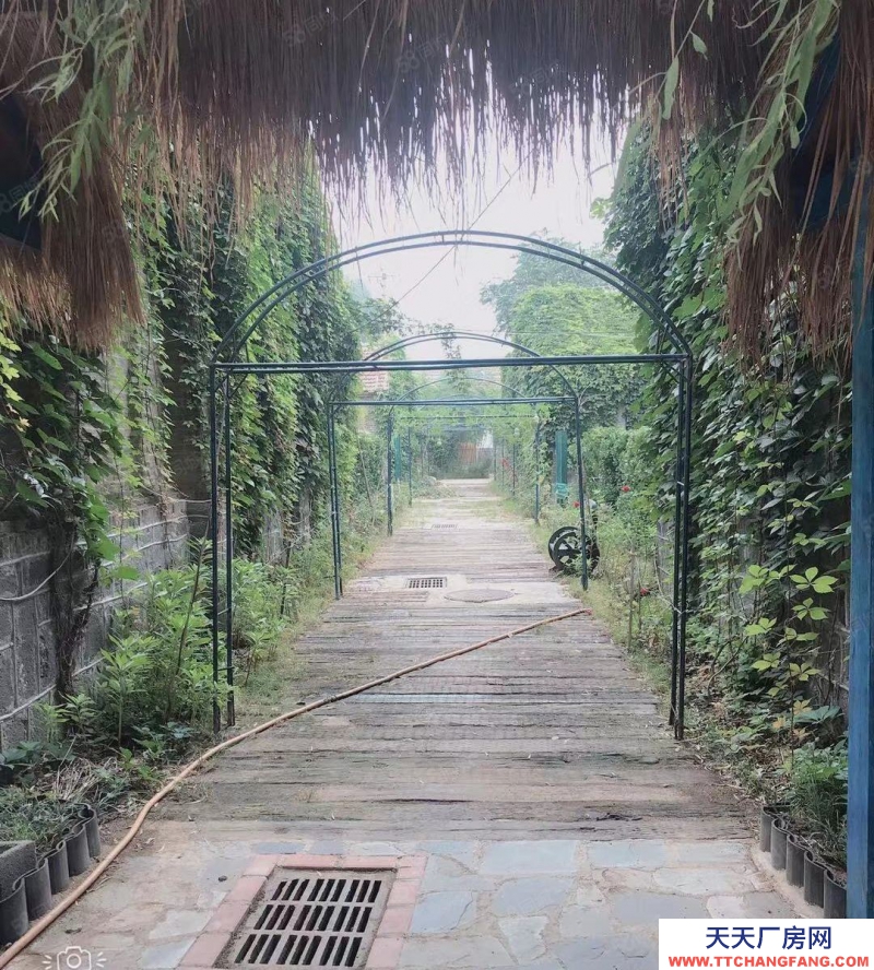 淄博周村文昌湖度假区附近庄园出租，适合多种经营