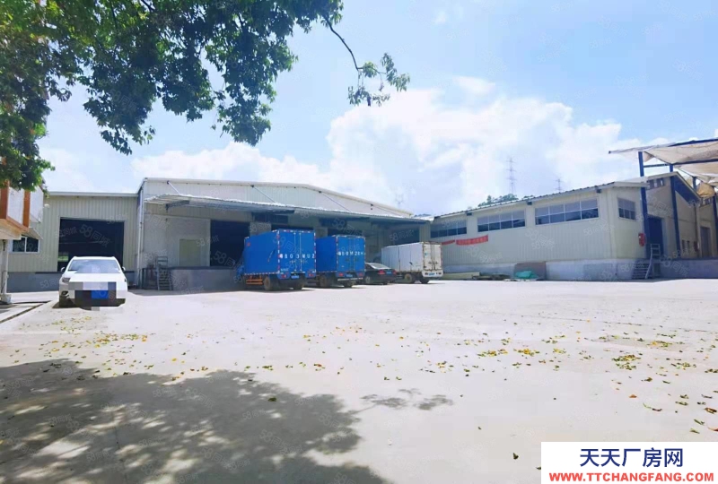 (出租) 深圳盐田港层高8米标准高台仓库出租，可分租