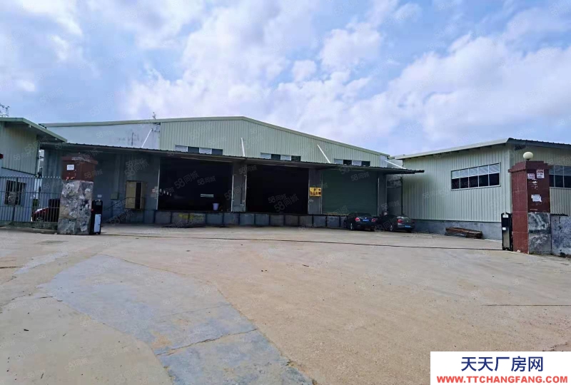(出租) 深圳盐田港层高8米标准高台仓库出租，可分租