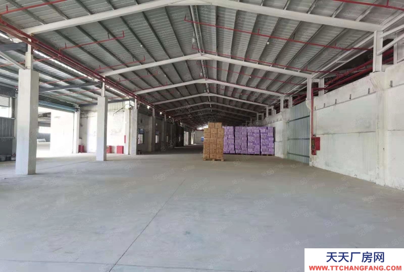 (出租) 深圳盐田港层高8米标准高台仓库出租，可分租