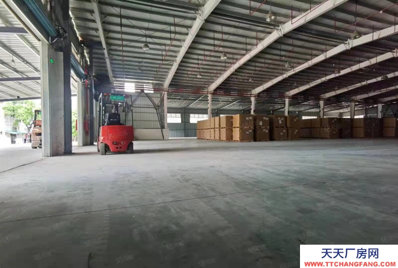 (出租) 深圳盐田港仓储服务大小面积可分租，配套托管团队服务