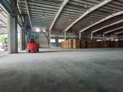 (出租) 深圳盐田港仓储服务大小面积可分租，配套托管团队服务图1