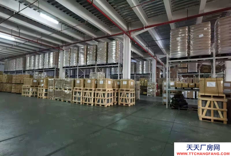 (出租) 深圳盐田港仓储服务大小面积可分租，配套托管团队服务