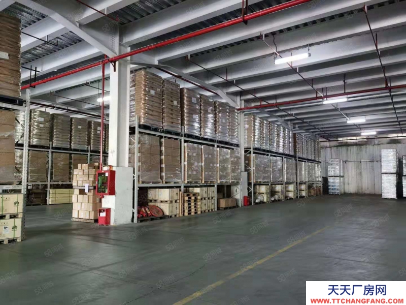 (出租) 深圳盐田港仓储服务大小面积可分租，配套托管团队服务