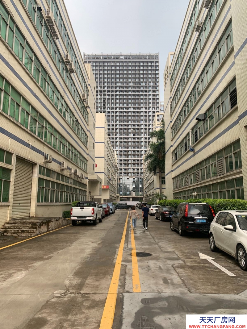 (出租) 深圳龙岗 联创科技园 开发商直租 治安好 保安全天巡逻