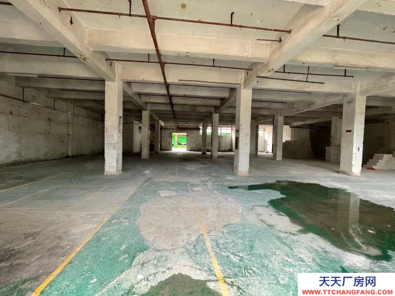 (出租) 深圳罗湖清水河厂房1500平200平起分租