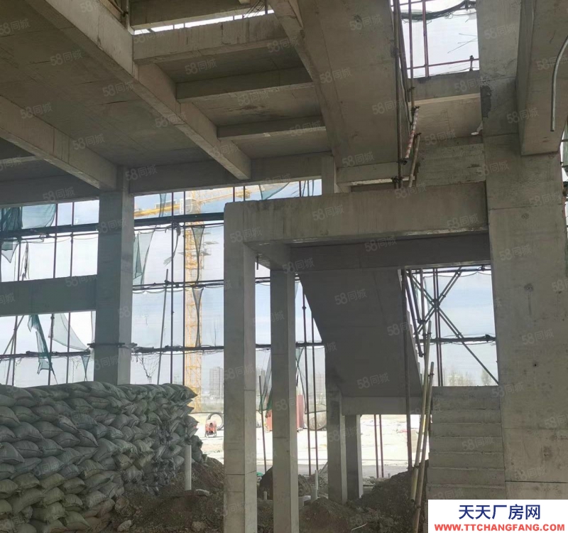 保定  定兴 园区独栋 厂房库房 展厅办公 食品可落 赠一层面积