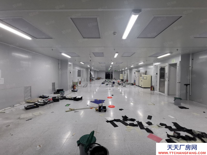(出租) 深圳福田龙华高新科创园整栋19000平可申请租金补贴有红本现低价放租