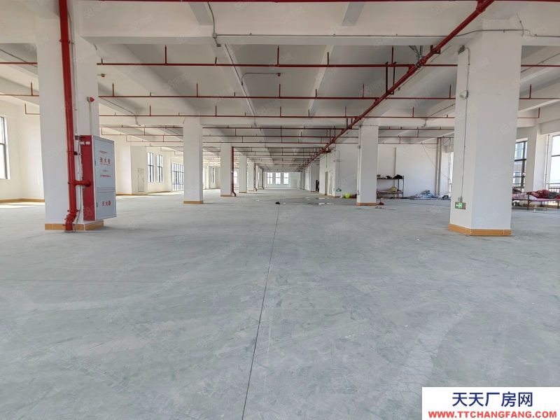 (出租) 深圳宝安光明高新医疗补贴全新独栋厂房出租5000平可分租仓库出租