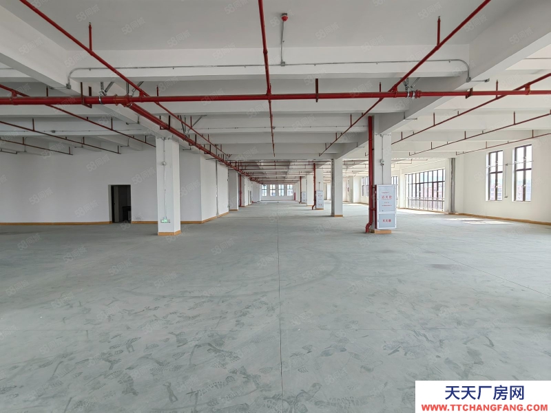 (出租) 深圳宝安光明高新医疗补贴全新独栋厂房出租5000平可分租仓库出租