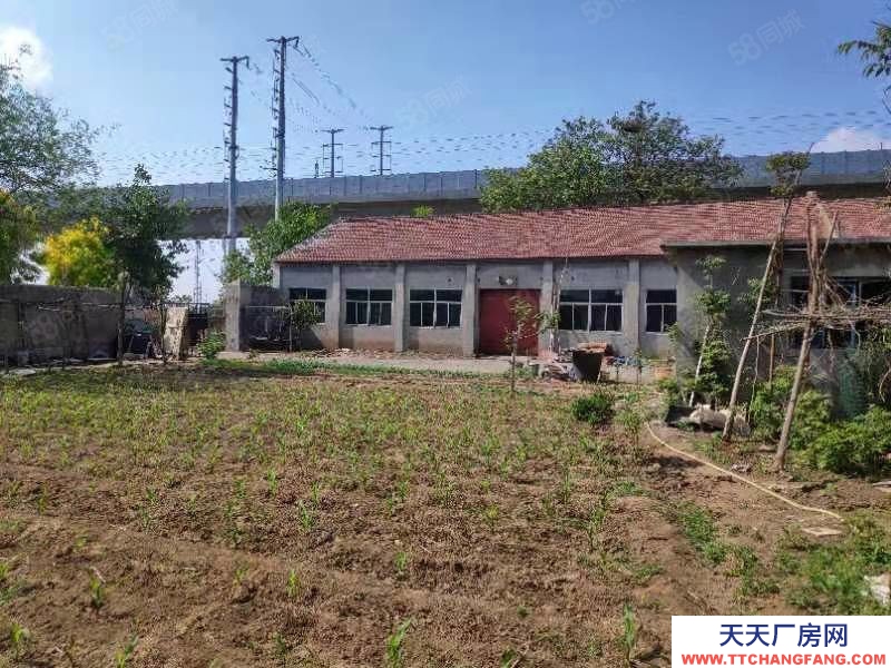 淄博桓台原山大道周家镇厂房带院出租