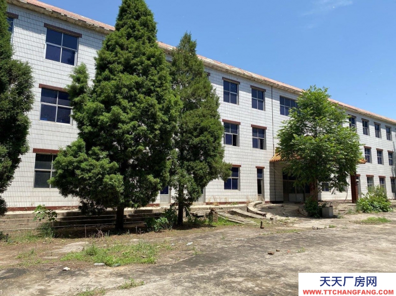 保定 唐县 整栋楼。共三层。二楼通透，三楼通透。一楼有部分办公室