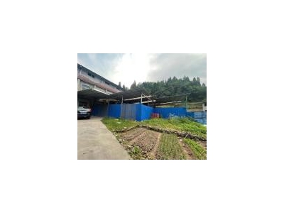 (出租)宜昌点军 学校出租,可做仓库或厂房图2