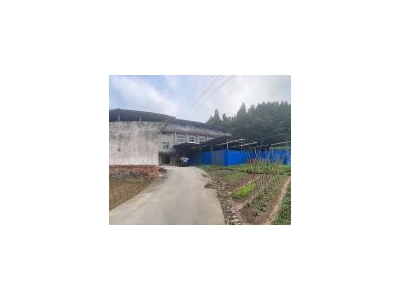 (出租)宜昌点军 学校出租,可做仓库或厂房图4