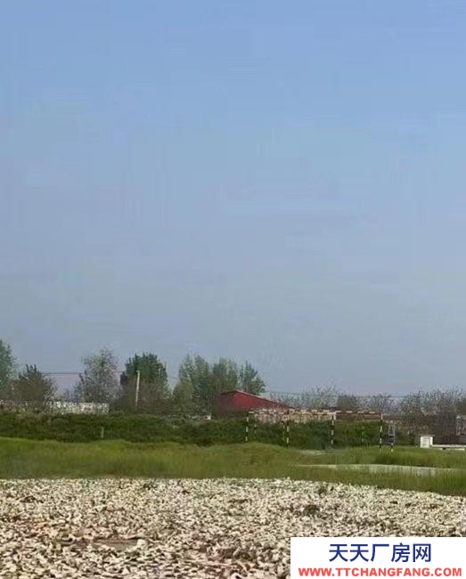 保定 望都第三中学附近107国道77亩，一层建筑6000平。出租