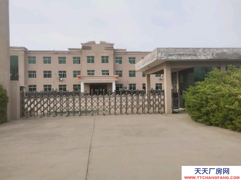 保定 望都 可整体出租，分租或转让