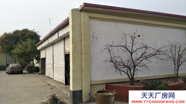 保定 望都 107国道路边大车出入方便