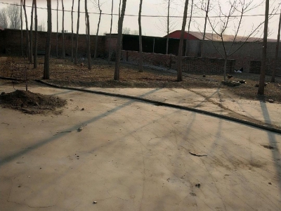保定 望都可以改造，有大棚。可以养殖。有大院儿，有大棚。图4