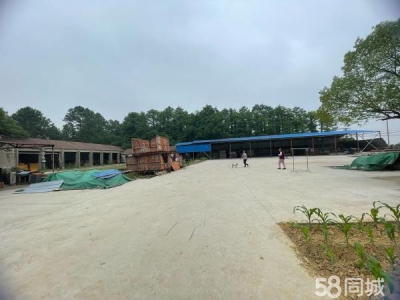 南京市高淳区林场仓库，租金实惠图4