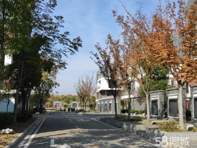 高淳开发区长短期仓库出租图5