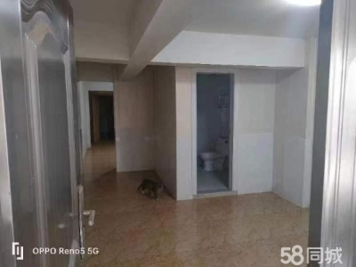 南京市高淳区可以做仓库，做厂房，住宅。图4
