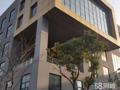 南京市高淳古柏经济开发区多处厂房仓库写字楼出租图1