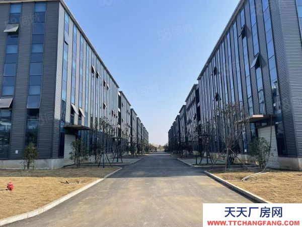 南京市高淳区 好厂房出售 现房销售 低价格 高品质
