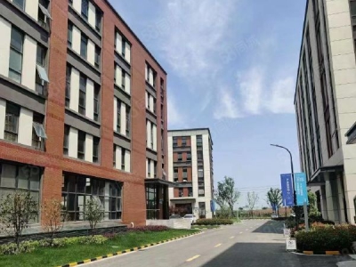 南京市高淳区地铁口，1200平，40万首付，50年产权图5