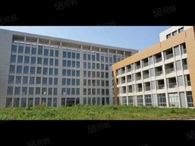 南京高淳经济开发区土地43亩2.9万平标准厂房出售5500万图4