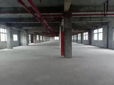 南京市高淳区 D9 137 0165 5055宣城狸桥厂房招租图2