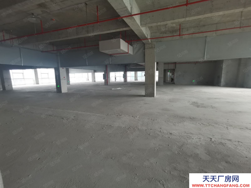 (出租) 广州政府项目黄埔区可租可售！新型专精区1000平起租租金补贴50