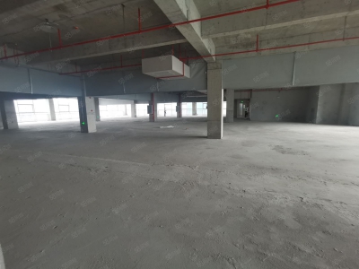 (出租) 广州政府项目黄埔区可租可售！新型专精区1000平起租租金补贴50图3
