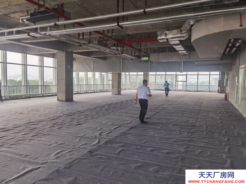 (出租) 广州政府项目黄埔区可租可售！新型专精区1000平起租租金补贴50